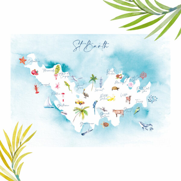 Carte des Quartiers - Moon St Barth - Illustration