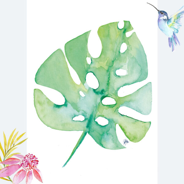 Illustration de feuille de monstera - Moon St Barth - Illustration