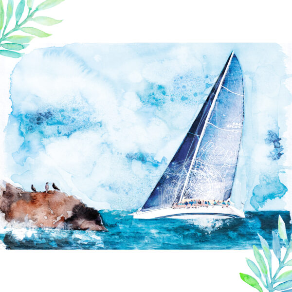 Aquarelle d'une course de voiliers à Saint-Barthélemy - MOON ST BARTH - Illustration