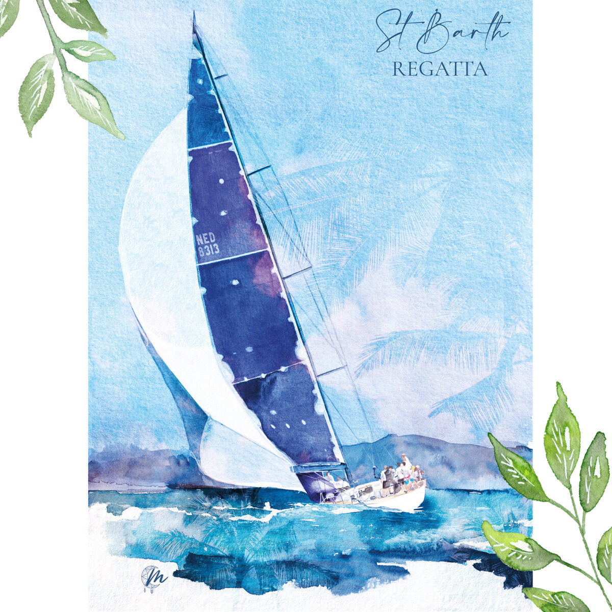 Aquarelle d'une course de voiliers à Saint-Barthélemy - MOON ST BARTH - Illustration