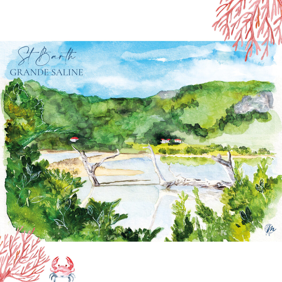 Illustration de Saint-Barthélemy : Grande Saline - Moon St Barth -