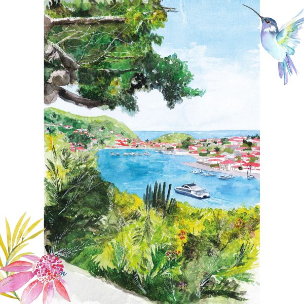 Aquarelle de Saint-Barthélemy : Gustavia - Moon St Barth - Illustration