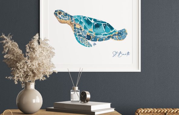 Illustration de tortue marine - Moon St Barth - Illustration